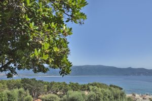 Cantu di Mare, résidence de location de maison en Corse, vue mer et piscine magnifique