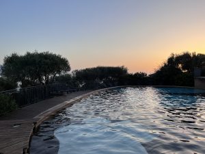 Visiter en Corse du Sud en une semaine - Résidence de vacances à petit prix Cantu Di Mare à Olmeto