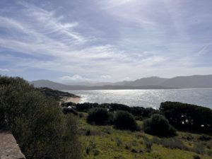 Séjour Corse septembre 2023 - Résidence de vacances Cantu Di Mare. Image représentant de la verdure; arbres et buissons en premier-plan et la mer en dernier-plan