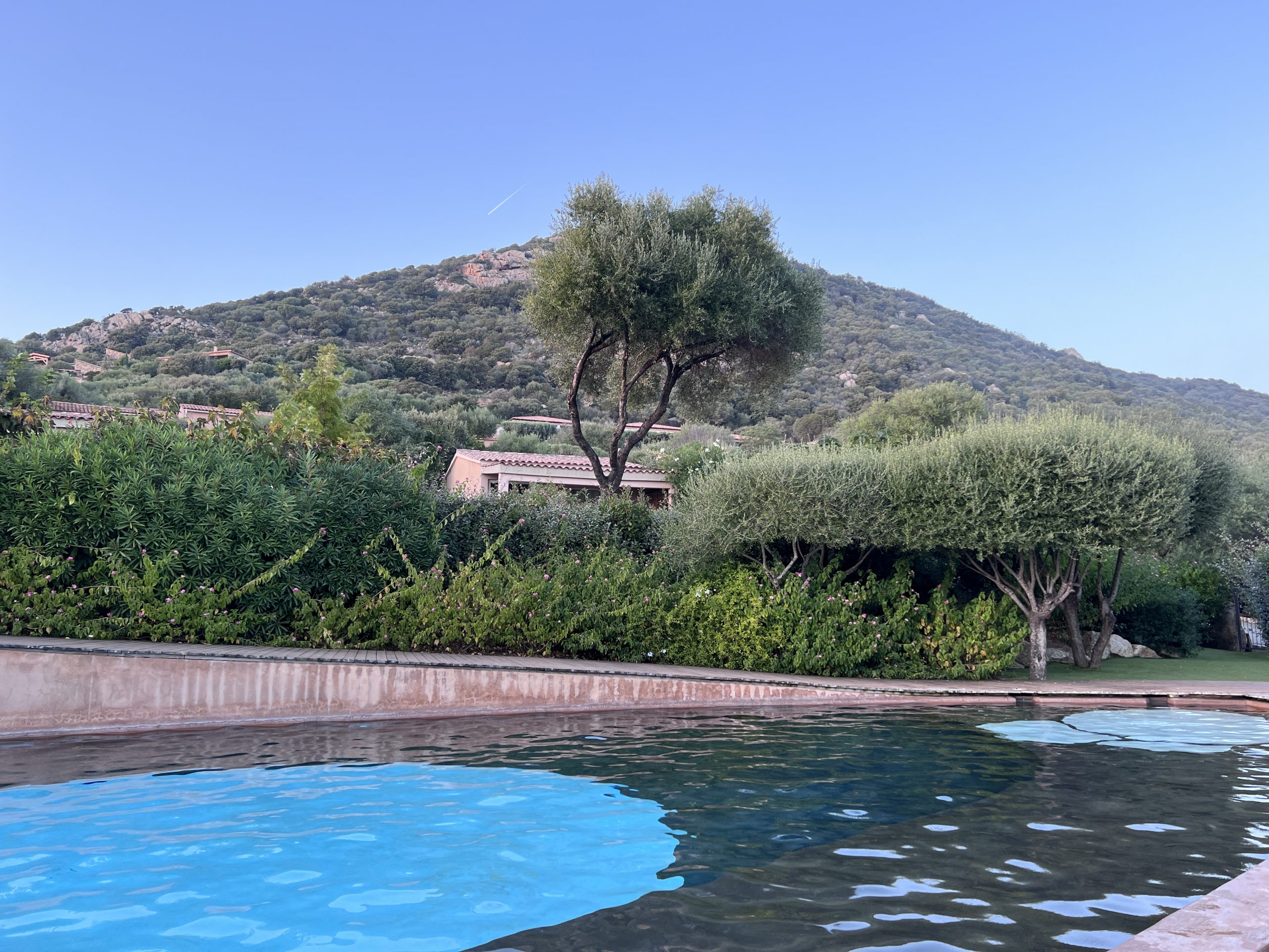 Séjour en Corse du Sud : l’île de beauté à portée de main