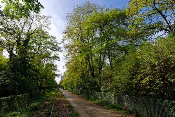 sentier de la Petite Ceinture du 17e arrondissement de Paris