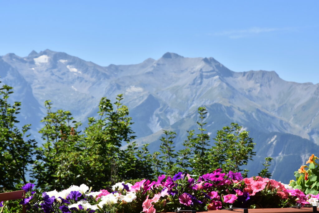 vue du Grande Rousse Hotel & Spa de l'alpe d'huez en été
