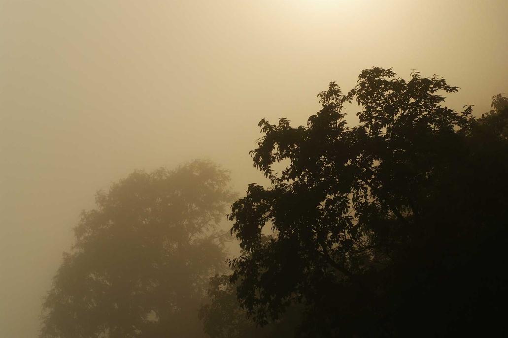 Error provident expedita provident