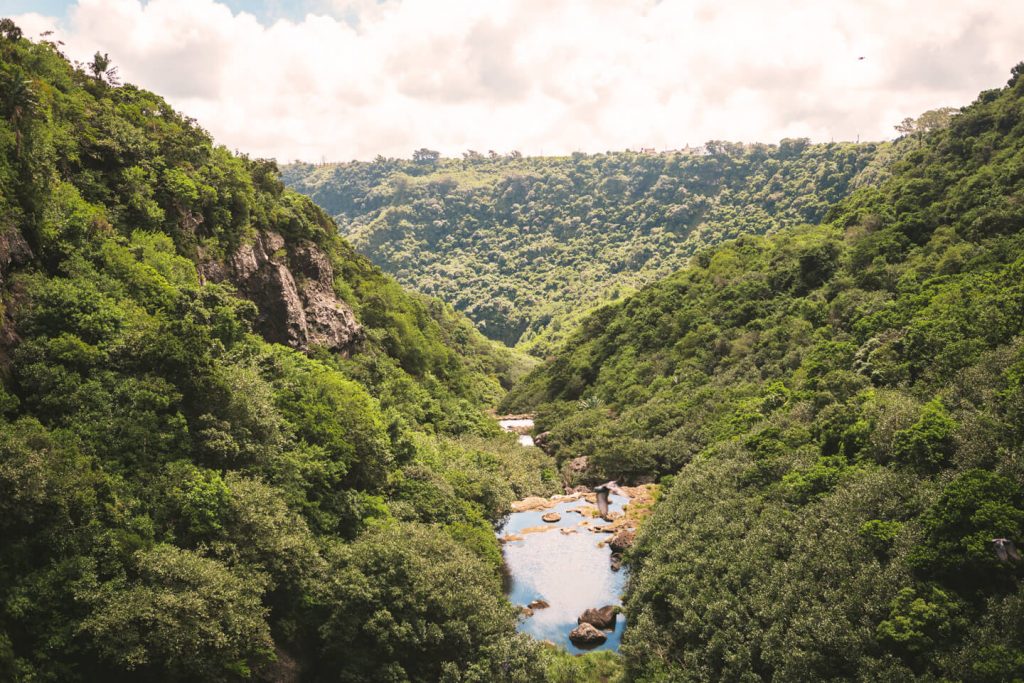 gorges de riviere noire