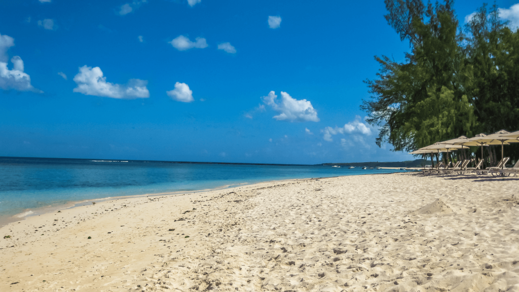 horse ridding on the mauritian beach