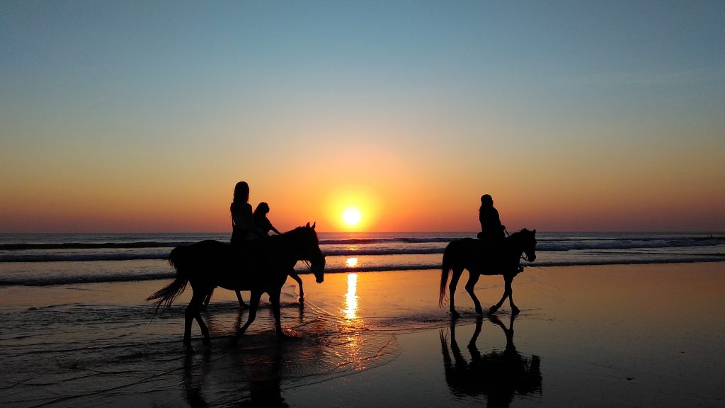 horseriding mauritius