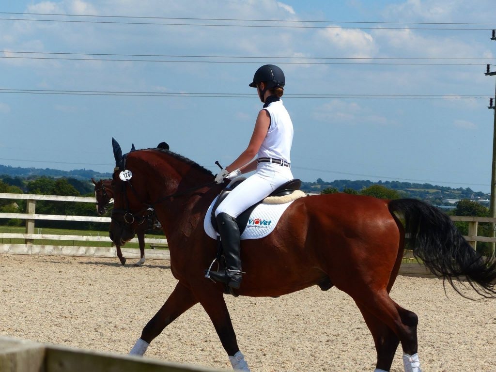 horseriding mauritius