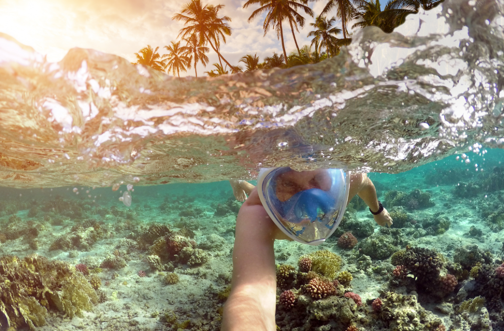 snorkling in mauritius