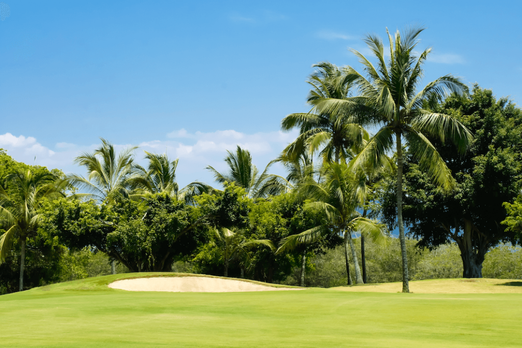 Mauritian golf course