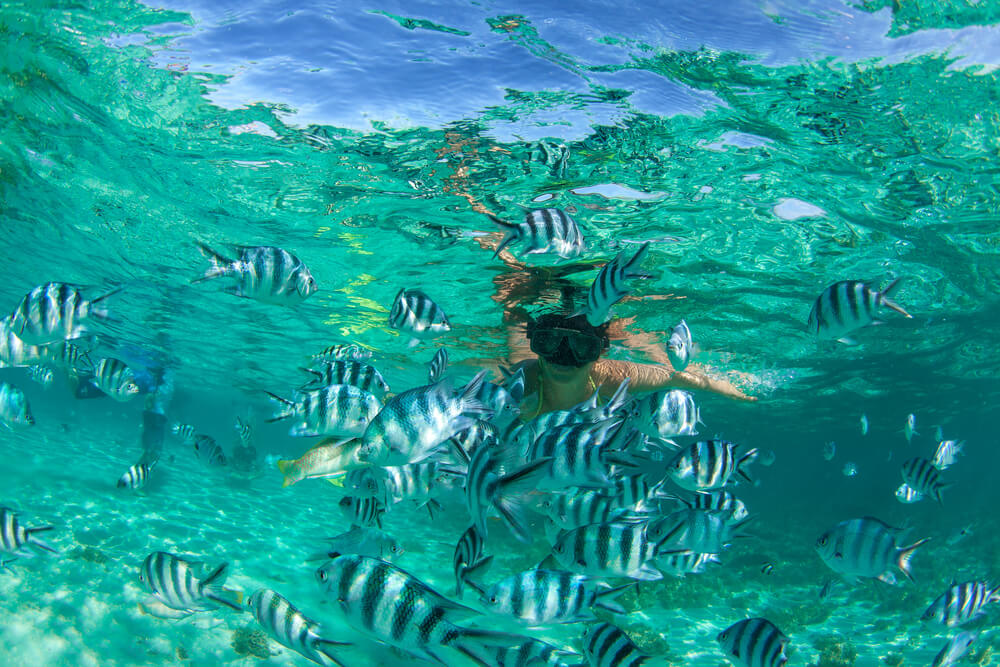 snorkling in mauritius