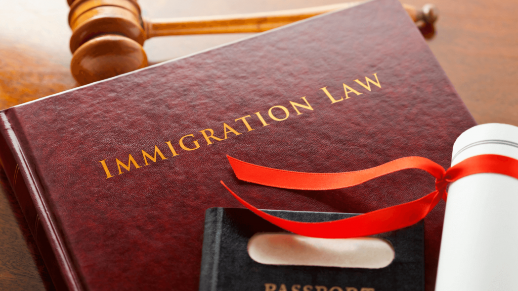 immigration law