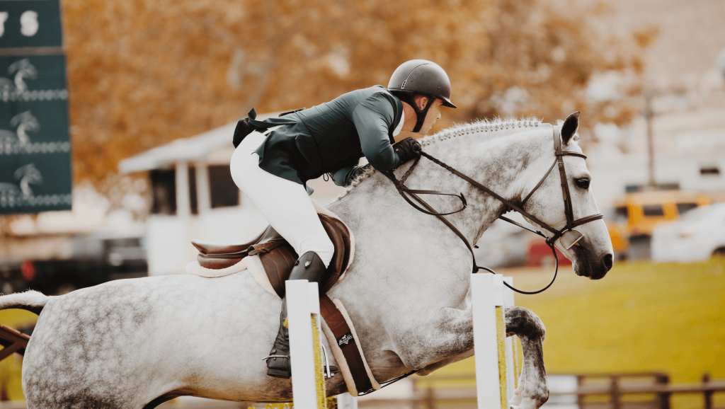 courses hippique ile maurice