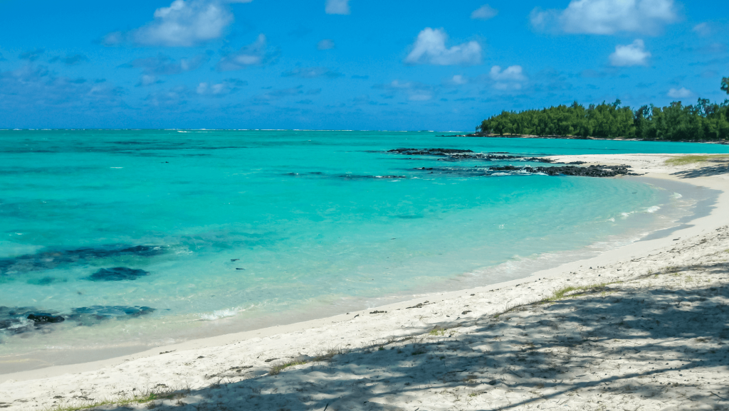 horse trip on the beach in mauritius