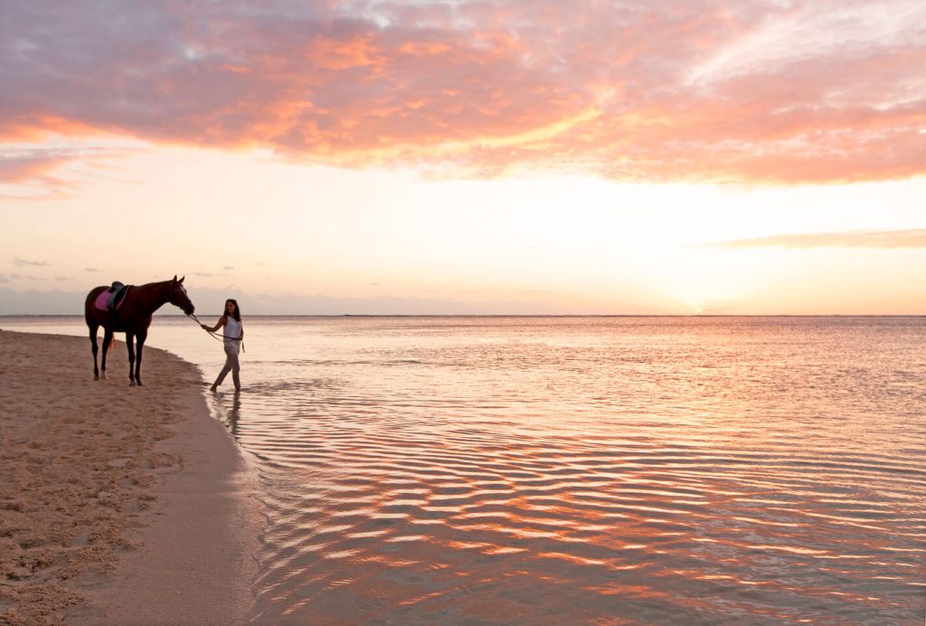 sunset with horse on mauritius beach