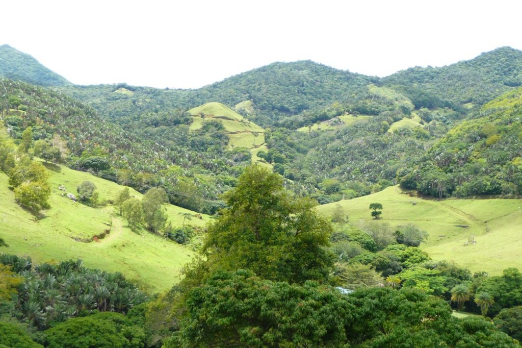 Découvrez La Réserve Naturelle De La Vallée De Ferney sejour ile maurice