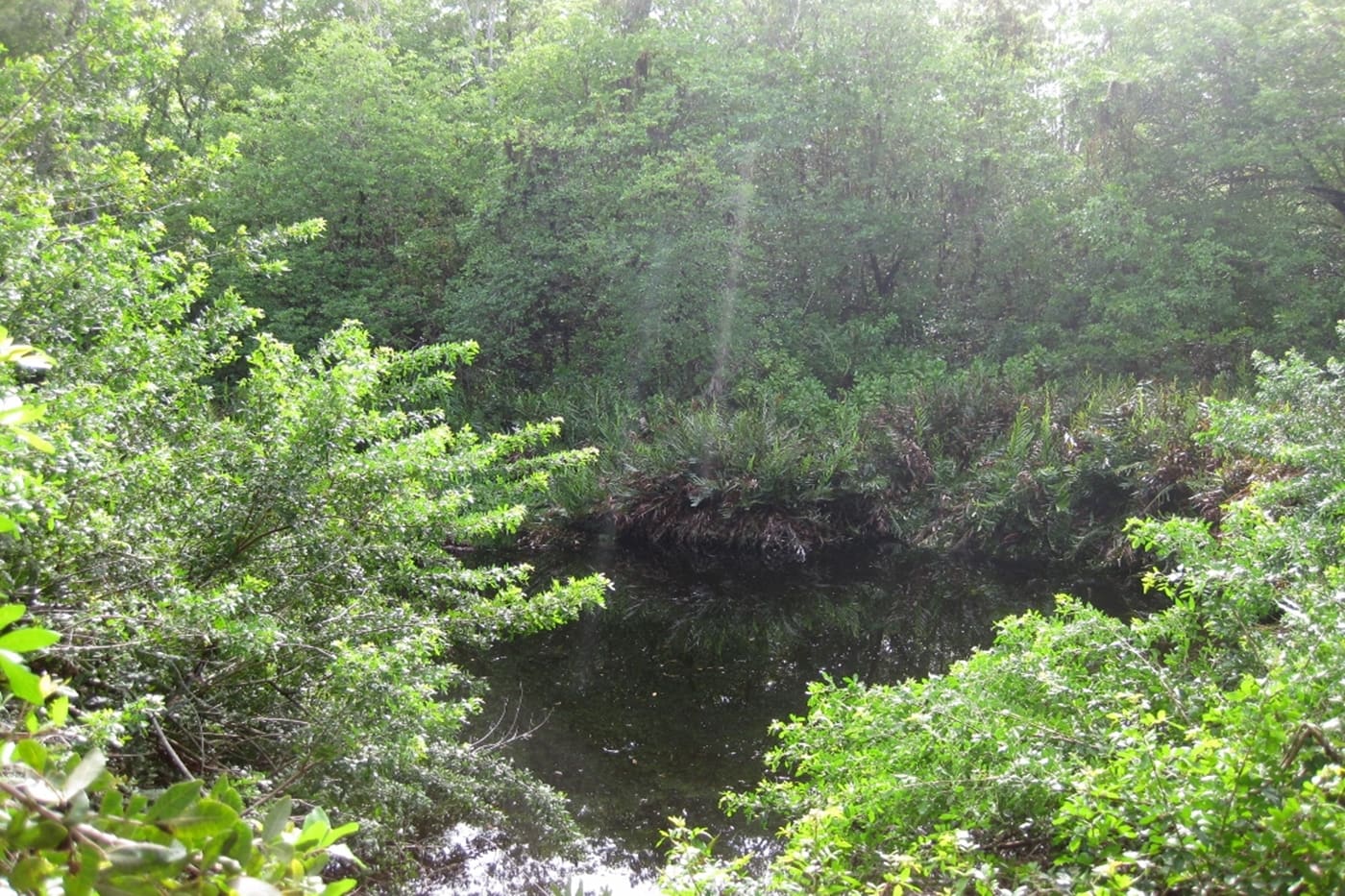 Bras D'eau Ile Maurice sejour ile maurice