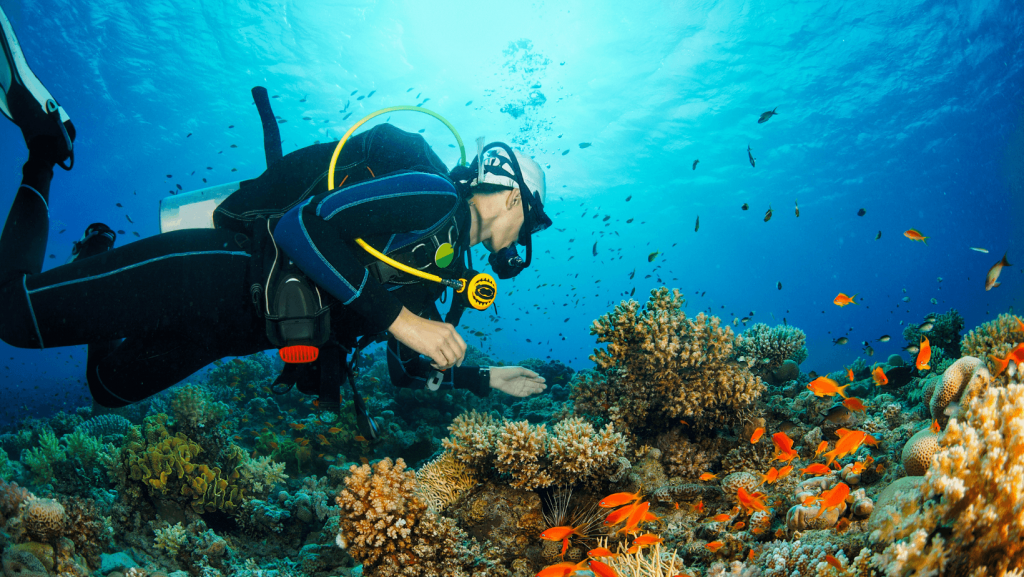 diving in mauritius