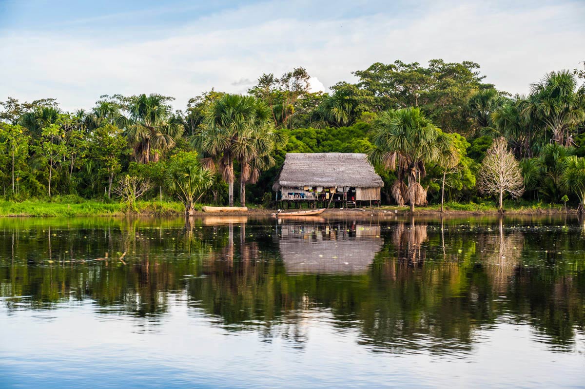 Amazon Iquitos